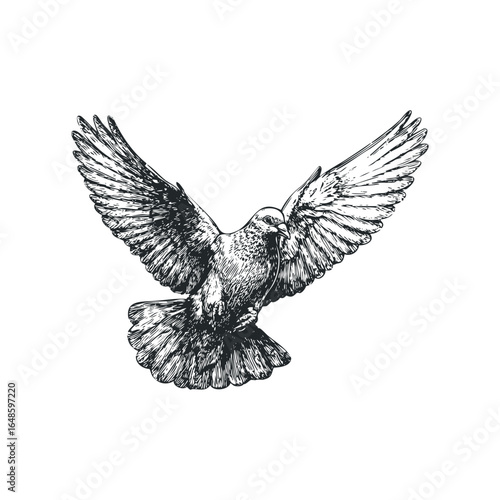 Pigeon in mid flight with wings spread in a detailed sketch style