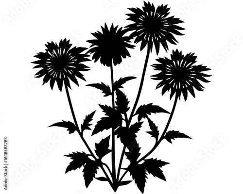 Sunflower Plant Silhouette
