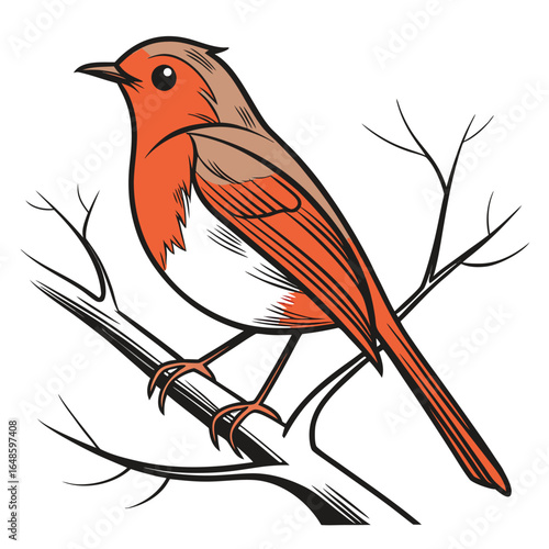 Robin White Background