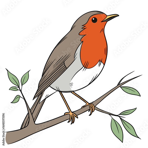 Robin White Background