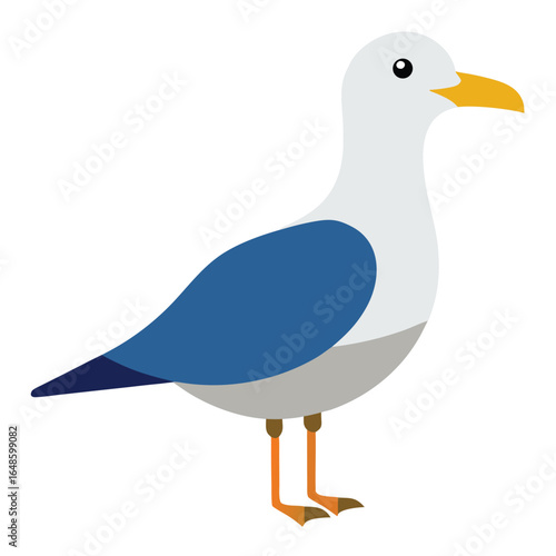 Seagull White Background