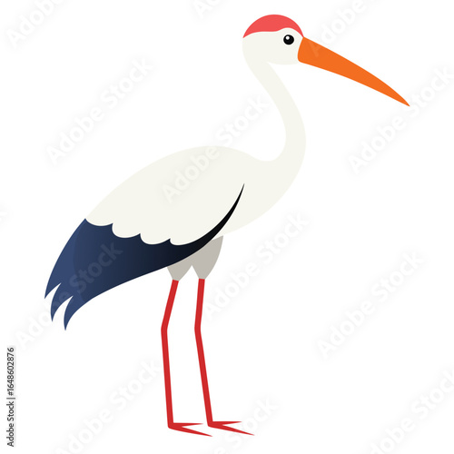 Stork White Background
