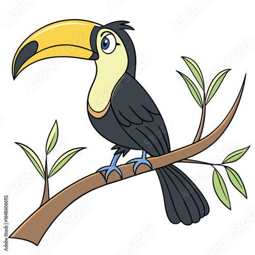 Toucan White Background
