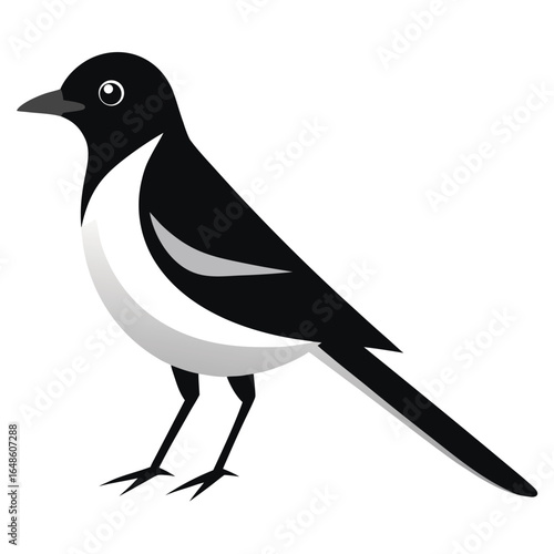 Wagtail White Background