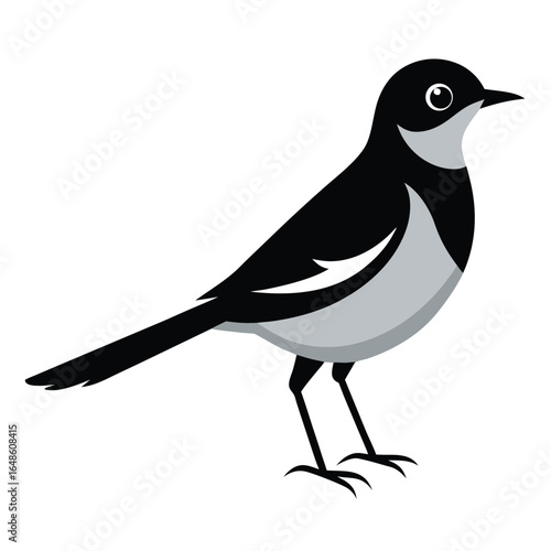 Wagtail White Background