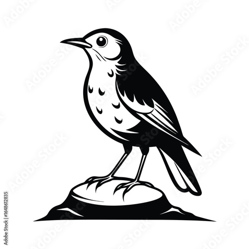 Elegant line art illustration of a thrush bird perched on a textured rock against a clean white background