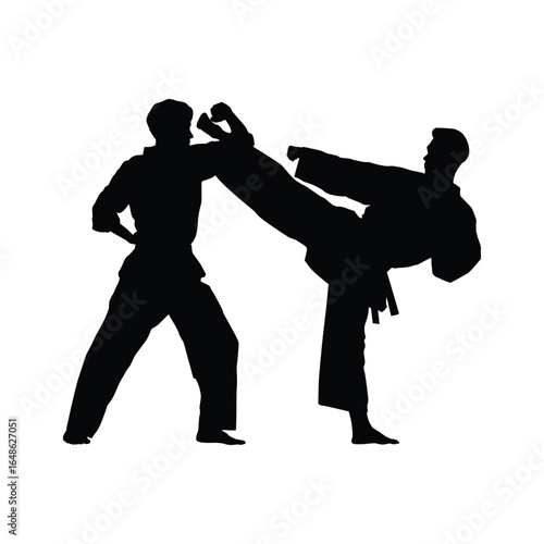 Silhouette vector illustration showing two karate practitioners engaged in sparring