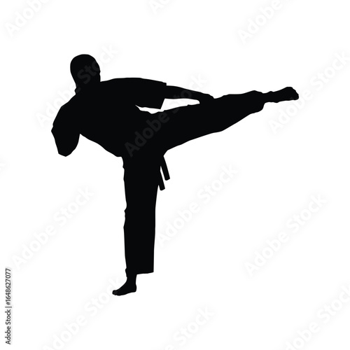 Silhouette vector illustration showcasing a karate expert performing a precise side kick.