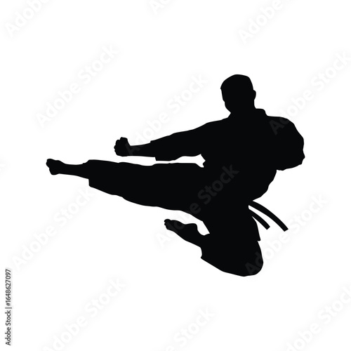 Silhouette vector illustration of a karate practitioner executing a flying kick.