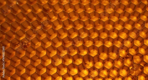Honeycomb Harmony: A close-up view of a honeycomb's intricate structure, highlighting the perfect geometric pattern and golden hue.