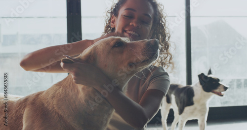 Εκτύπωση καμβά Happy woman, dog or volunteer with pet for animal shelter, welfare or NGO charity in home