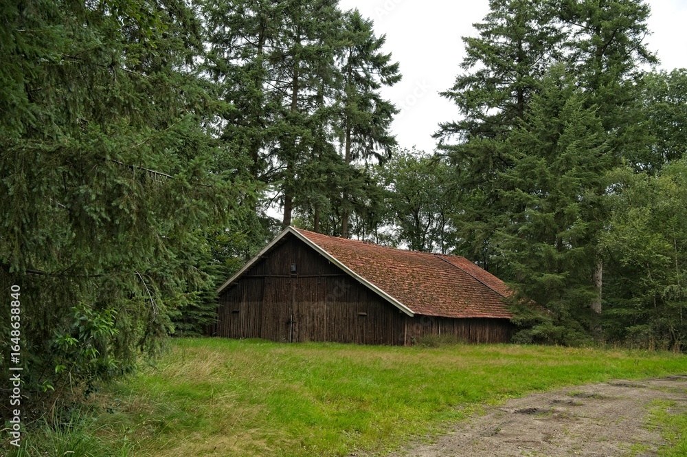 Fototapeta premium A working barn or forest shed for forestry, made with walls of pine trunks