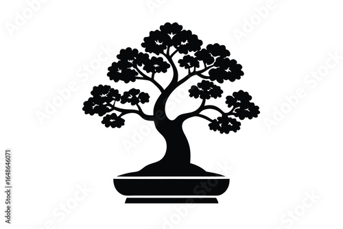bonsai tree vector icon