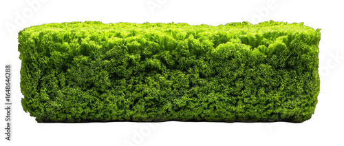 Lush green, textured block