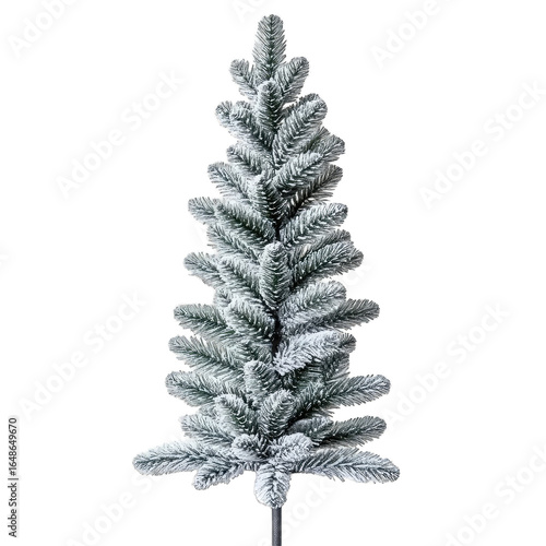 A snowy artificial Christmas tree, slender and tall, isolated on a black background