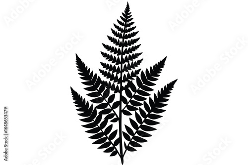 fern vector icon