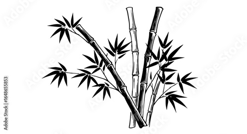Elegant bamboo stalks with lush leaves create a tranquil, natural zen garden vibe for your designs