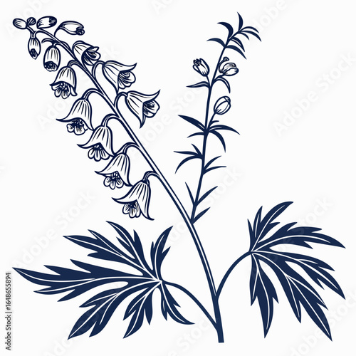 branch with aconitum heterophyllum