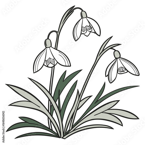 bouquet of aconitum carmicheaelii
