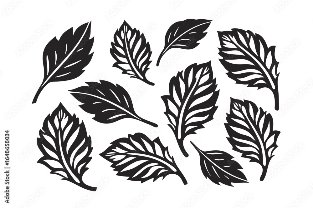 Fototapeta premium Botanical Black Leaves and Branches on White Background