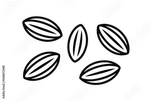 Black Outline Cocoa Beans on White Background Food Ingredient