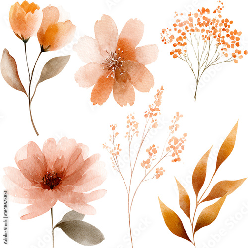 Set of Watercolor Botanical Elements with Orange Flowers and Leaves