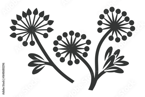 Black Floral Umbels on White Elegant Design with Spherical Flower Heads