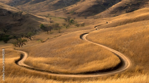 Winding dirt road through golden grasslands.