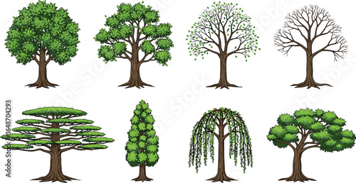Realistic vector trees set showing seasonal growth stages with green foliage, bare branches, and diverse shapes for forest illustrations