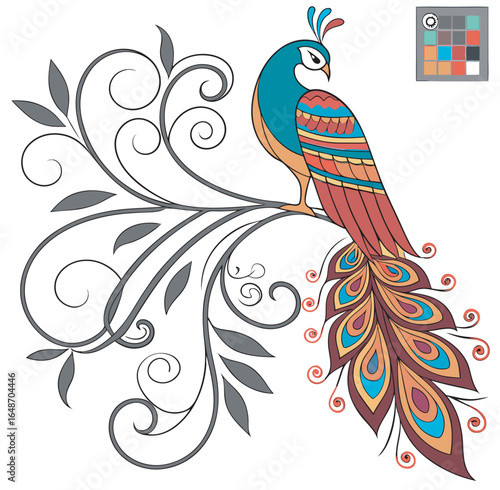 peacock vector illustration