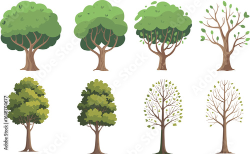Various tree illustrations showing different stages of foliage, seasonal changes, nature concept, green leaves, autumn colors, environmental design, vector art