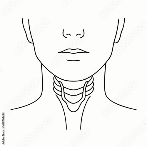 front neck anatomy showing thyroid gland black line drawing for medical infographic
