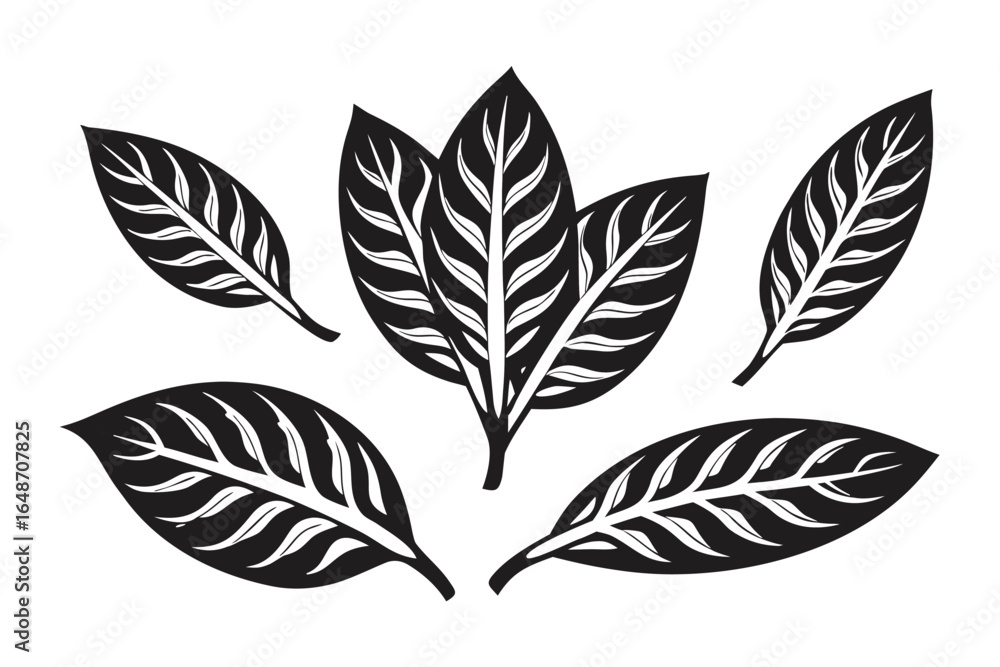 Fototapeta premium Leafy Sprigs Design, Hand Drawn Branches and Leaves, Floral Elements, White Background