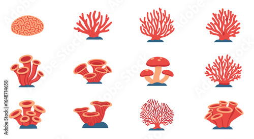 A diverse collection of stylized red and orange coral illustrations, showcasing different underwater species in a flat design style.