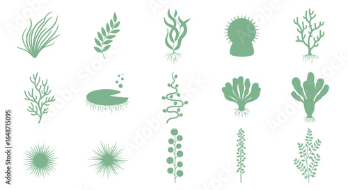 A set of green silhouette icons featuring various seaweed, algae, and aquatic plants.