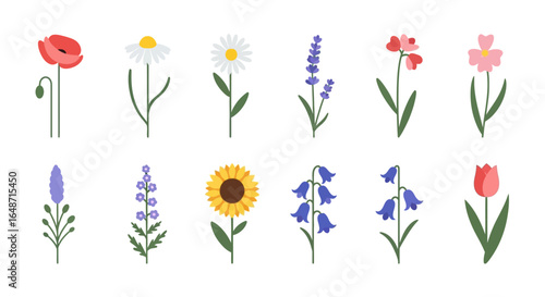 A vibrant collection of twelve stylized flower icons, featuring poppy, daisy, lavender, and sunflower in a flat design.