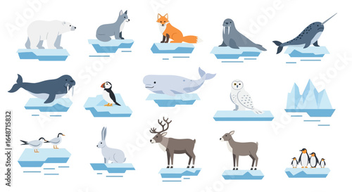 Arctic Wildlife Collection: Polar Bear, Arctic Fox, Walrus, Narwhal, and More