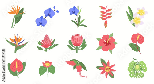 Collection of Vibrant Tropical and Exotic Flowers in Flat Design Style