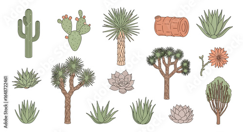 Hand-drawn collection of desert plants, including saguaro, prickly pear, agave, and Joshua tree illustrations in a muted color palette.