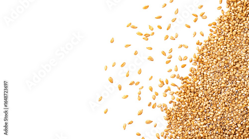 Natural sesame scatter with raw and roasted seeds in random arrangement isolated on white background
