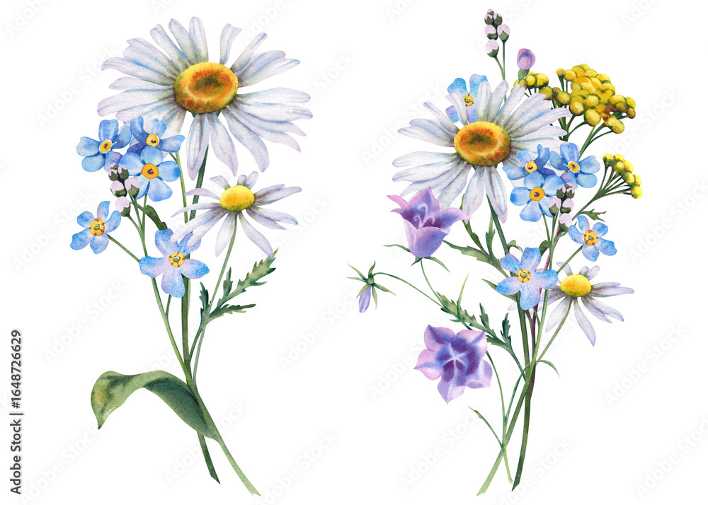 Fototapeta premium Set of bouquets of wildflowers. Hand-painted watercolor botanical illustration. A bouquet of meadow flowers with forget-me-not, cornflowers, tansy, chamomile and bluebells on an isolated background.
