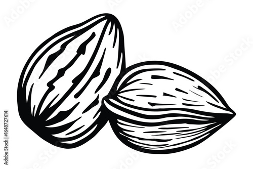 Two Almonds with Detailed Grooves Style on White Background Close Up