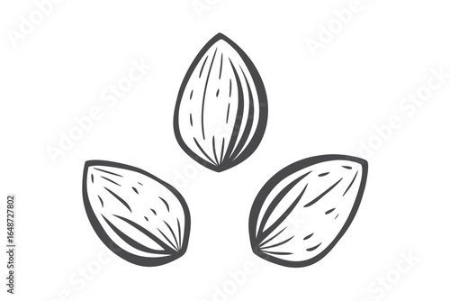 Three Almonds Outline Sketch Style on White Background CloseUp Food Design