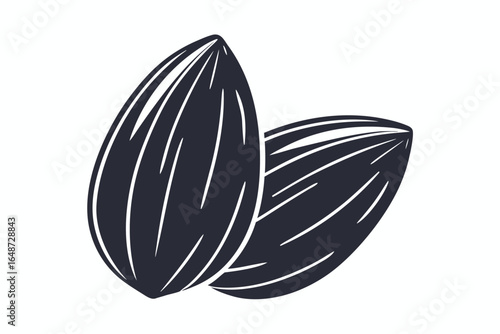 Two Almonds in Monochrome Silhouette Style on White Background for Microstock