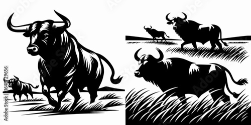 Bulls scouting open plain. Cartoon Animal Clipart Silhouette Vector Illustration Line Art Illustration. Monitoring cattle across grassland area for future breeding characteristic.