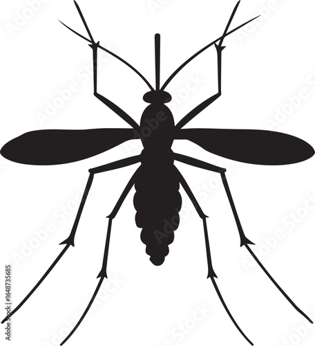 A mosquito on a white background.