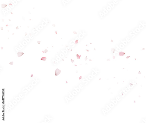Pink Cherry Blossom Petals On Transparent Background Vector