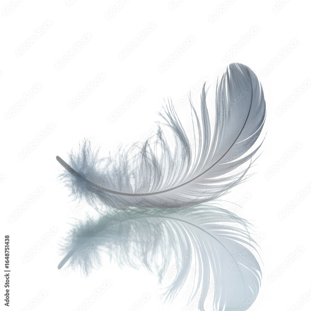 Obraz premium palok on white and transparent background.