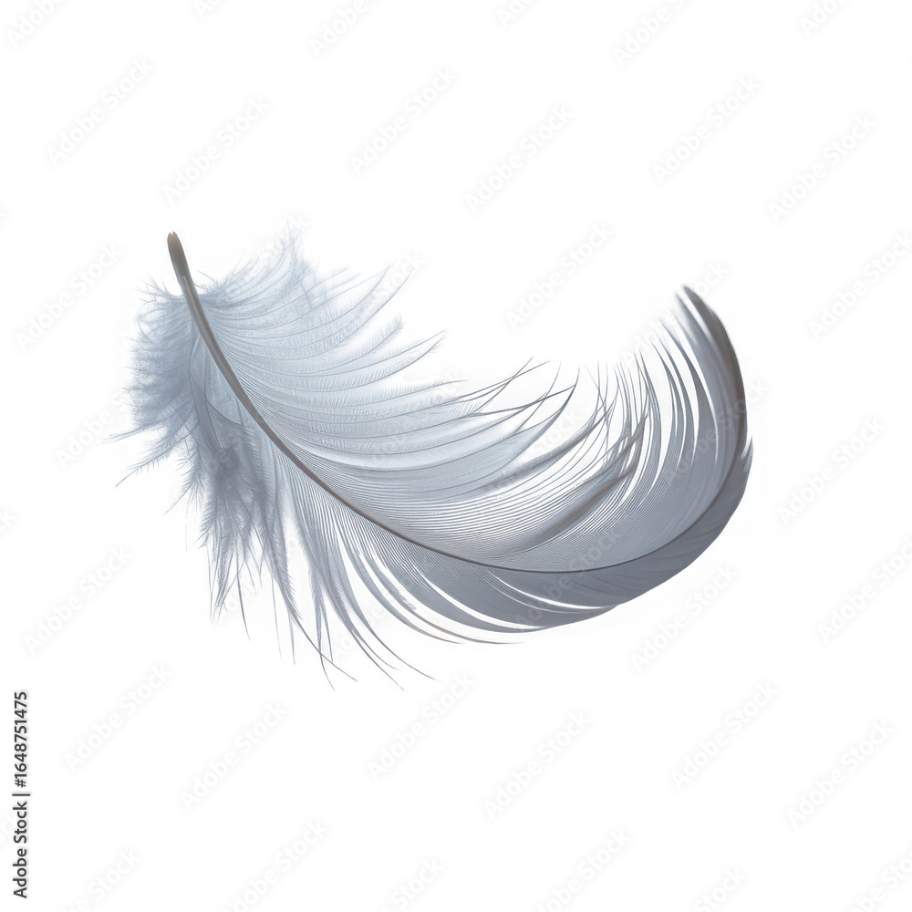 Obraz premium palok on white and transparent background.