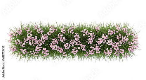 Pink flower grassy rectangular planting arrangement
